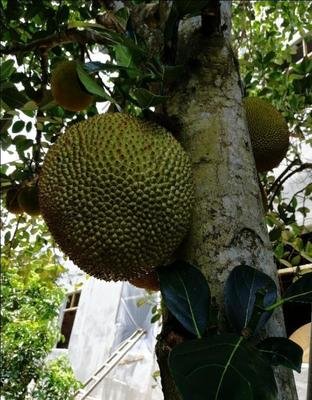 �Nֲ���}��Ҫע��ʲô