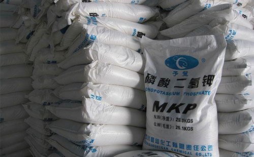 �����P�����c����ȫ�����Ⱥι���