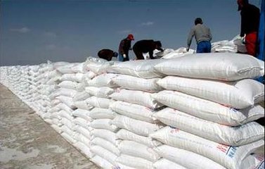 ⛷��Ј��q�r��څ�ڷ���