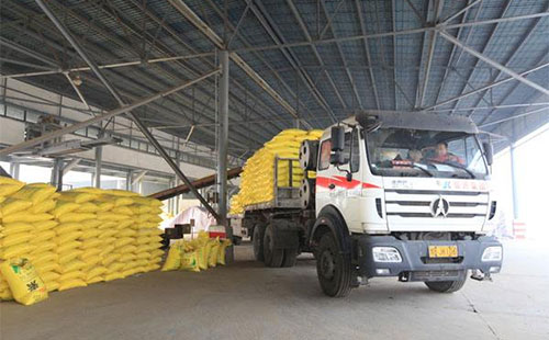 ���؃r���µ��������@�r��С�q