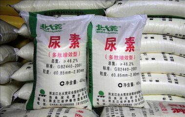 ���أ����Շ��� ����δ�q