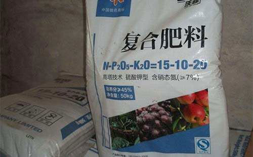 ���ʃr���ձ����ϝq���ͺϷʞ�ʲô���q������