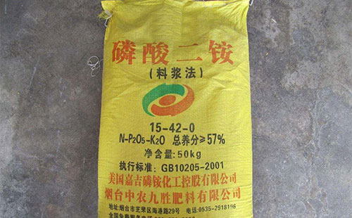 �����՝q���@؛�o 2018���＾���Ј���I����{�q��r��