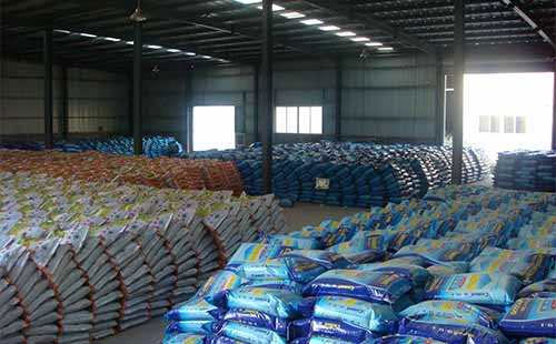 ���������q����Ԫ�q����ʲô��