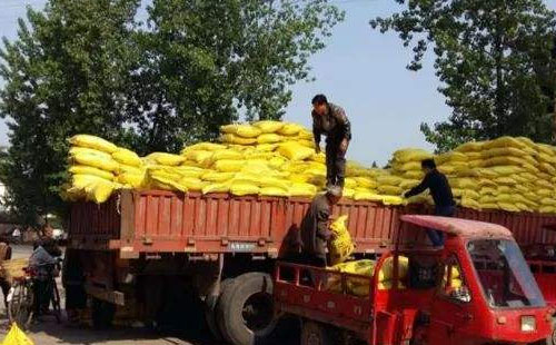 ��һ݆�����Ј��ٴΆ������ֲ����؃r��������