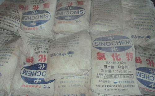 ⛷��Ј����o��պ����Ј��q�����ֿ����đB