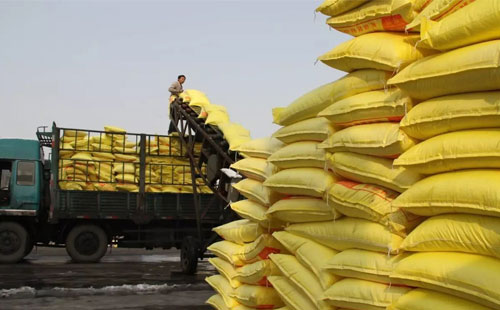 ��N����Ӱ�֮�£��AӋ������Һ���r����л���