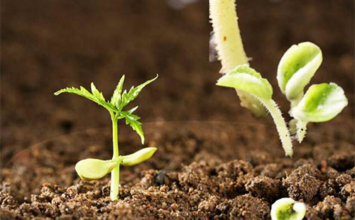 �����Ȼ���Ј�����ƫ�� �r������ǰ���m����؛