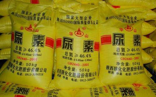 2018�������Ј��ʬF�@�Ĵ����c��������˽⣿