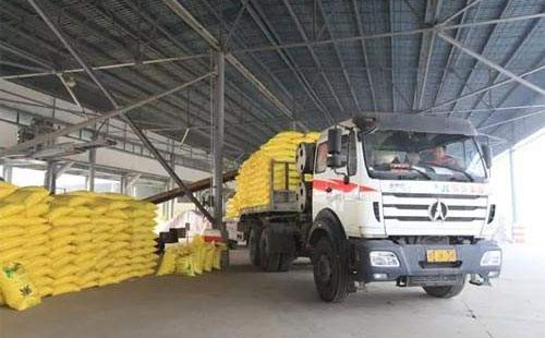 �������������{�����S�̵Ď���۷e������