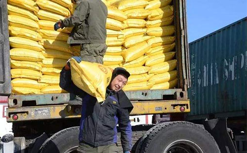 �������؃r���ٶ����У����y�������a�^��r�q��80~100Ԫ/��