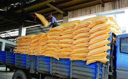 �����Ј����ֺ�P���׷��Ј����m����