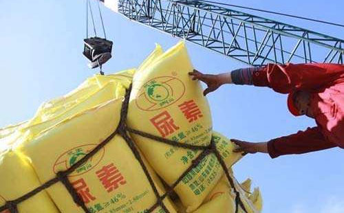 ����Ј����M���⣬�����Ј�����߀�����D�C�᣿