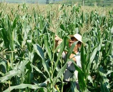 9�·݂��y(t��ng)�����Ј�(ch��ng)�q�����F(xi��n)�����ͷ����Ј�(ch��ng)�@Щ���P(gu��n)ע�c(di��n)