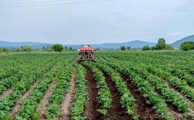 ���ʜp�������N�̷����ʲô��׃���Ј������