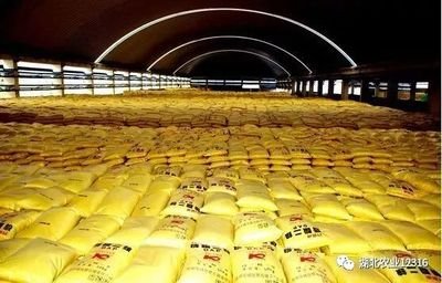 ���ʣ��Ј��ߵ� ُ�I���t