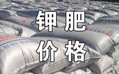 ⛷ʣ��a(ch��n)������(du��)��(w��n)�� �r(ji��)���y��̧��