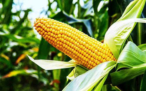 ���׷��Ј������Ѓɂ����ã���ɞ���ڻ����Ј����c