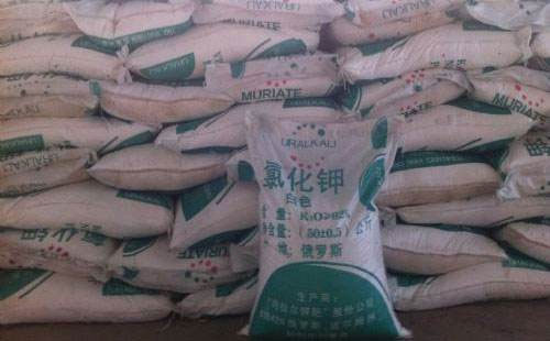 ⛷��Ј��r�����w������δ���A�y�����ַ���