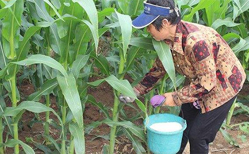 ���׷ʣ����ğoϢ�����M���˒�β