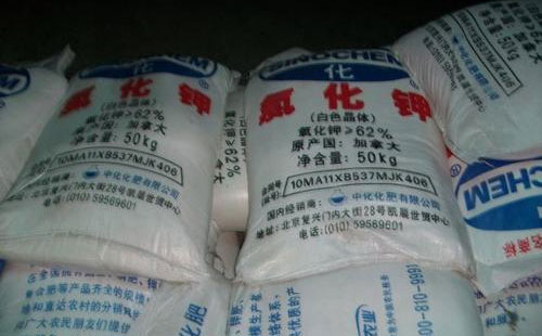 �Ȼ���Ј����m(x��)�����\(y��n)�У�����̽����w߀���^�m(x��)