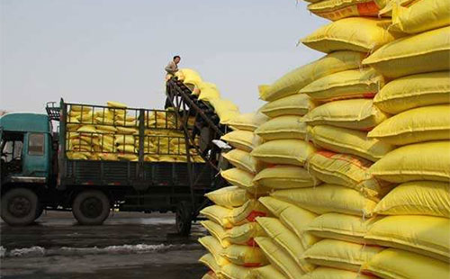 ���سʬFһ��С���ϝq���E�󣬶�����������^����L�U