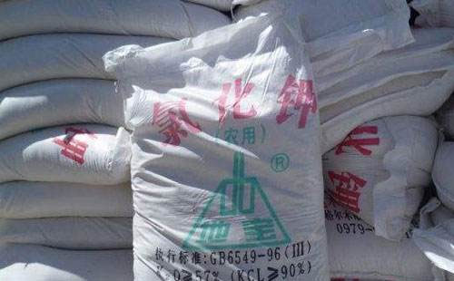 �Ȼ�⛲��q�t�ѣ�һ�q��ͣ��������