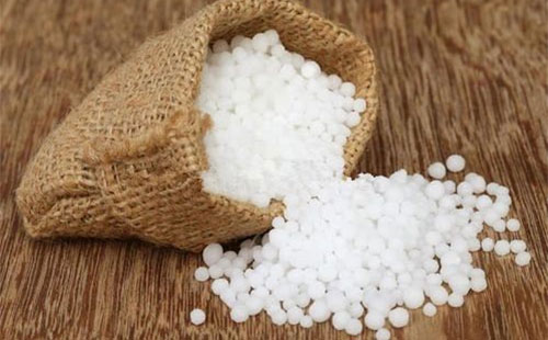 ���ع�����څ���^�m�s�p����I���^�mͦ�r