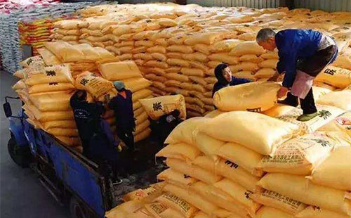 2020���������w���鲨���^���AӋ�ɰ�����β