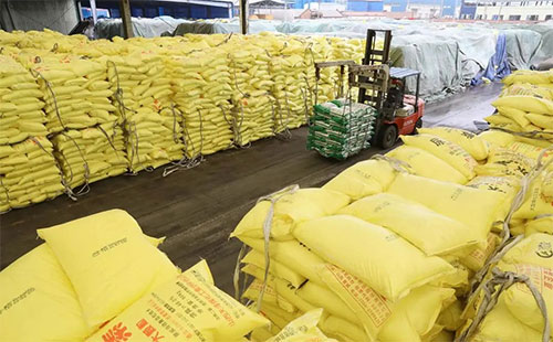 �A(y��)�y��2021�껯�ʳ���ӭ�������M(j��n)�ڌ���(y��n)������