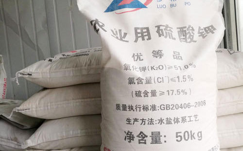 ���ء����@��Ʒ�N�r����F(xi��n)�ϝq��������Ƿ�Ҳ�ЙC���أ�