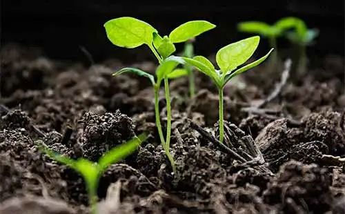 �����@���S��r�����500~750Ԫ��2�·݃r���^�m����