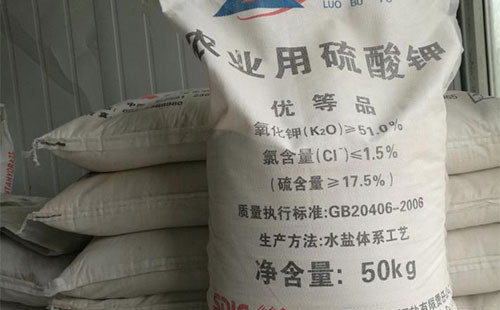 ⛷ʃr����m�ʝq���ʬF����߾��ϵđB��