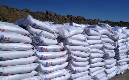 ����⛷��Ј��������wƫ�o�����H�Ј���̎�ڹ��������B