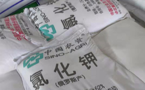 �Ȼ����M���M��������e���S�D