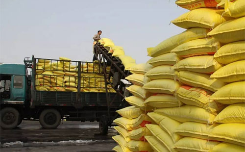 ���؝q�r��ݛ������L�h(yu��n)�ڻ����^����Ȼ�����L(f��ng)�U