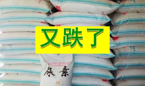 ���؃r��(chu��ng)10����¸ߣ����ڌ���������������Ϣ����