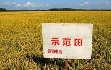 ʾ������ô�����r(n��ng)�Y�N�۱ز����ٵ�������