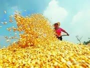 �r(n��ng)�Y��(j��ng)�N�̣���߀��Ɏ��ꣿ