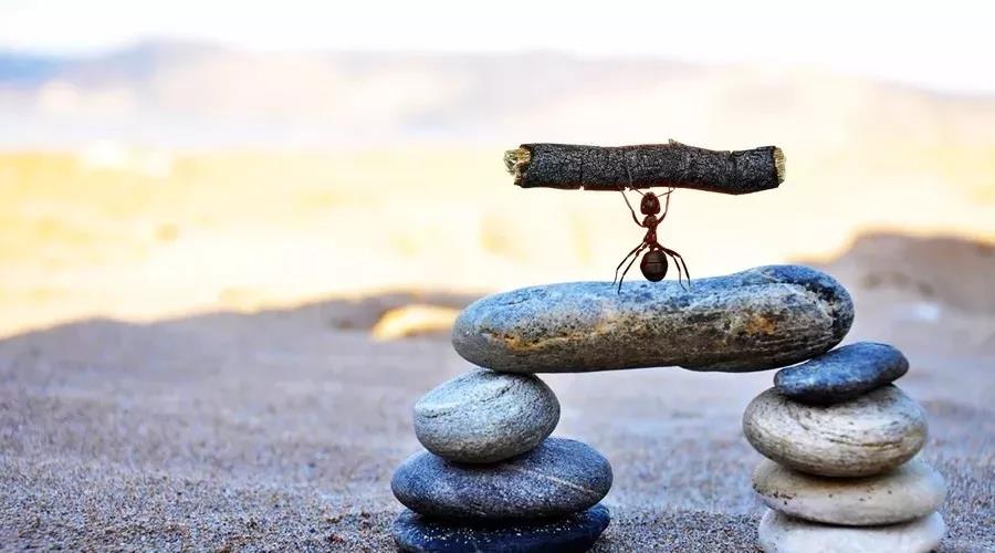 ���N�̱ؿ�����ĮaƷ�u�c��������