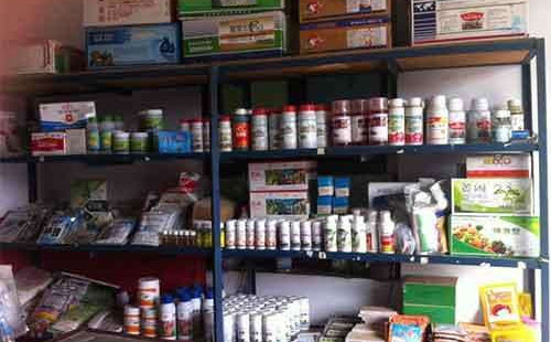 �r�Y���N���������Լ���������