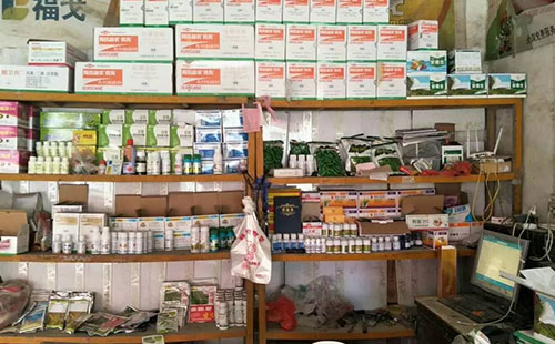 2021�r�Y����ӛ���D�y����������Ј��y��