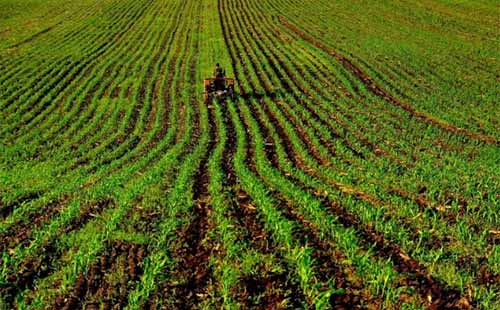 �r�I�������ėlѪ�I���Y���o�r�I�ĘI��һЩ��ʾ��