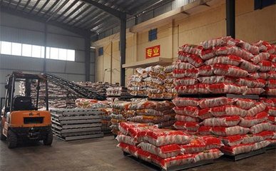 �׏ͷʮaƷ�|��׷���wϵԇ�c��������