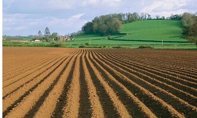 �r�I�����ƌWʩ�ʾ͵��ЙC�ʴ��仯����