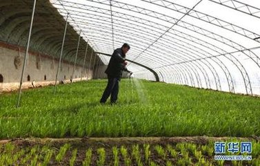 ɽ�|���_�P�ڼӿ�l(f��)չ�r�I(y��)�������a����Ҋ