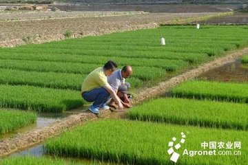 ����̽ӑ���ϾGɫ�lչ·��