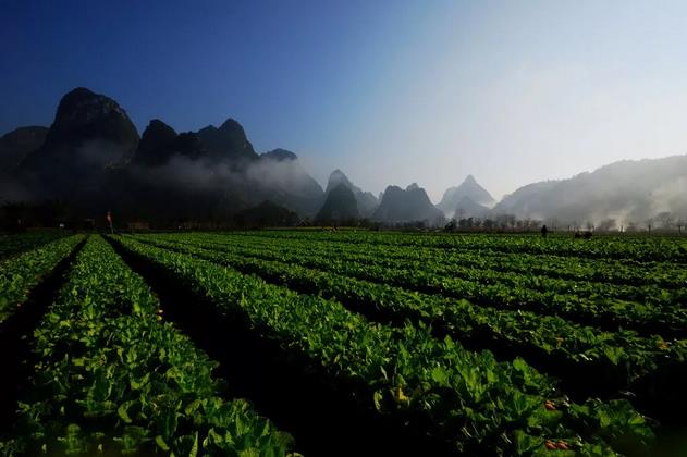 �l(f��)չ�����t(y��)�r(n��ng)�I(y��)���������Ї���ɫ�����B(t��i)�r(n��ng)�I(y��)֮·�� ���Ƅ�������\(y��n)��ͬ�w���O(sh��)��ؕ�I(xi��n)��