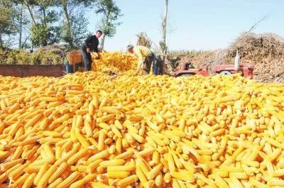 ���ҼZʳ�֣���Z��ُ�����_1.1�|��