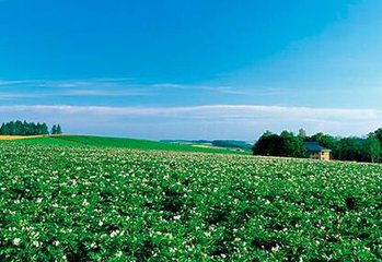 �҇��аl�������Ԫ�������ʵ����Ϳ�ጷ�